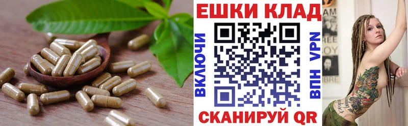 Купить где  Десногорск  ЭКСТАЗИ ешки 