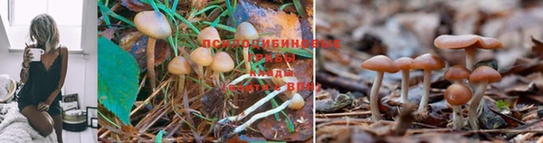 а пвп мука Майский
