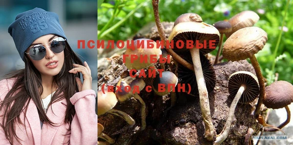 шишки Магадан