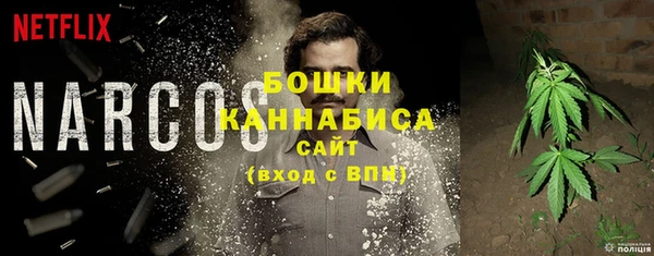 шишки Магадан