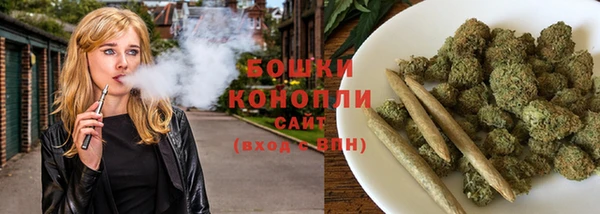 шишки Магадан