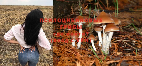 а пвп мука Магас