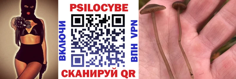 Купить закладки  Десногорск  Галлюциногенные грибы ЛСД 